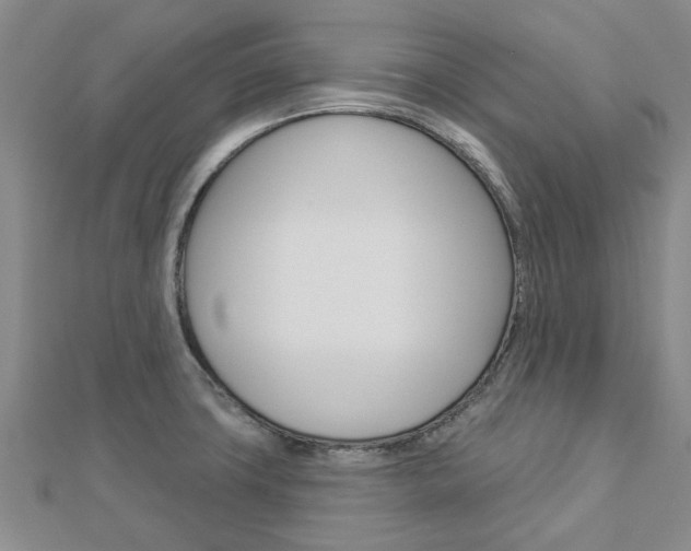 X0000112921427200908241021