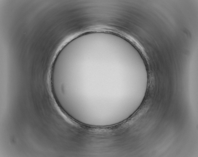 X0000112921429200908241021