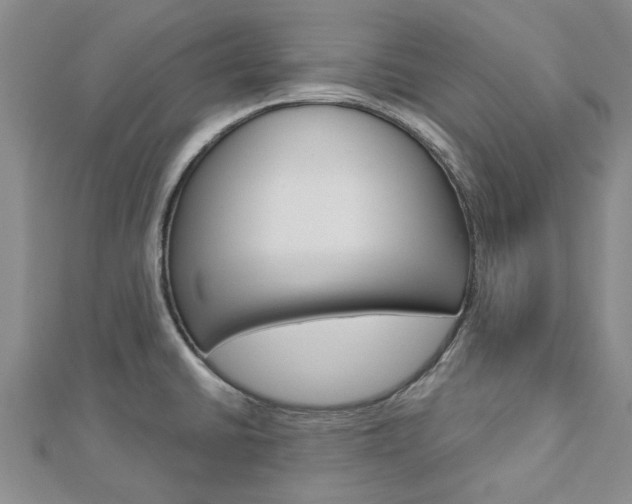 X0000112921430200908241021
