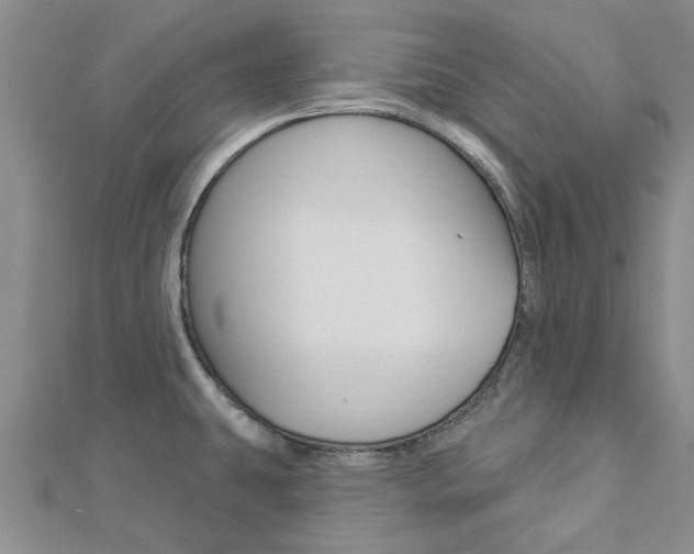 X0000112921431200908241021