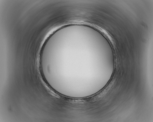 X0000112921432200908241021