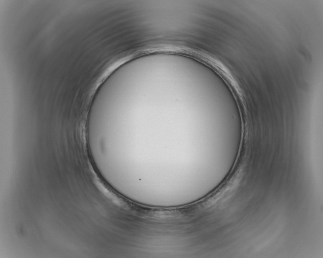 X0000112921433200908241021