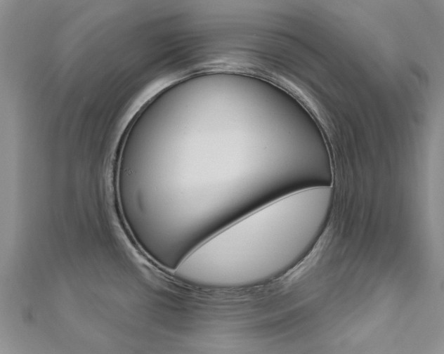 X0000112921434200908241021