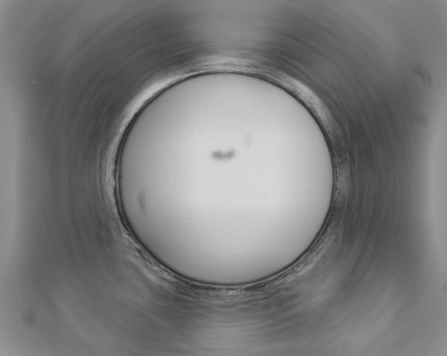 X0000112921435200908241021