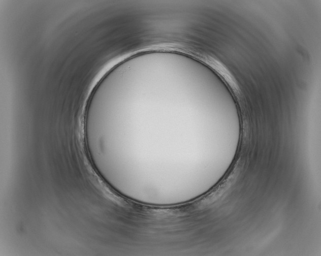 X0000112921436200908241021