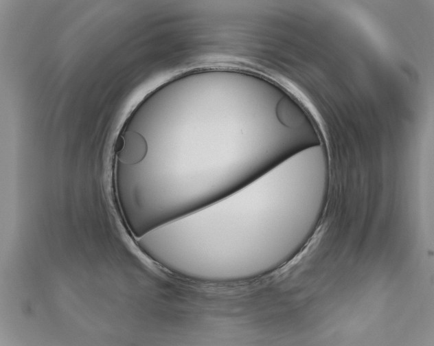 X0000112921437200908241021
