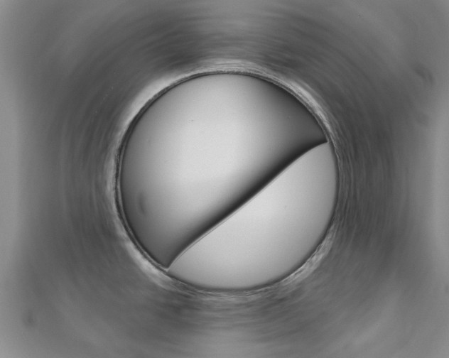 X0000112921438200908241021