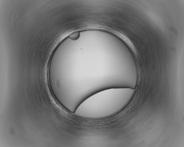 X0000112921439200908241021