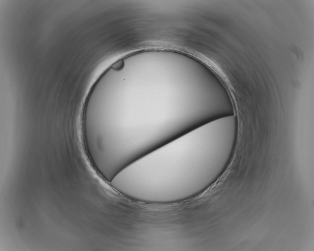 X0000112921440200908241021