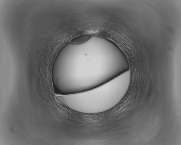 X0000112921441200908241021