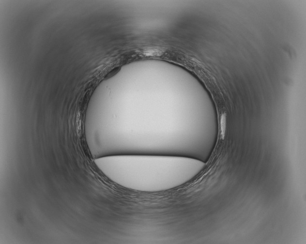 X0000112921443200908241021