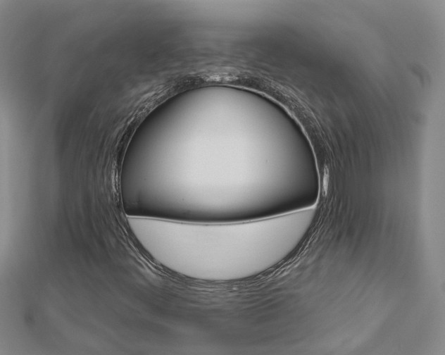 X0000112921444200908241021