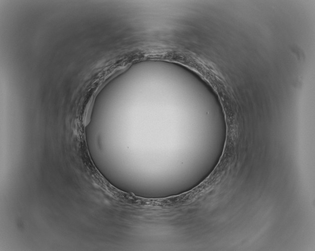 X0000112921445200908241021