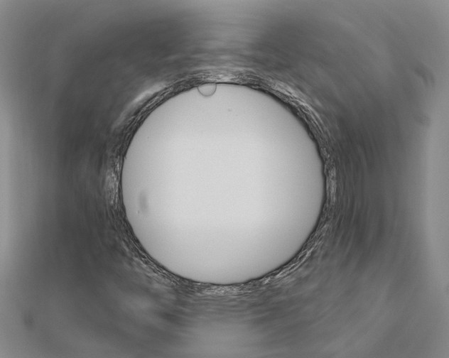 X0000112921446200908241021
