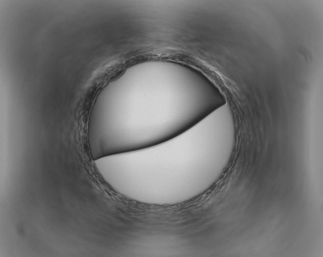 X0000112921447200908241021