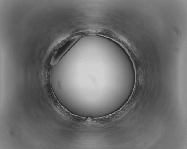X0000112921448200908241021