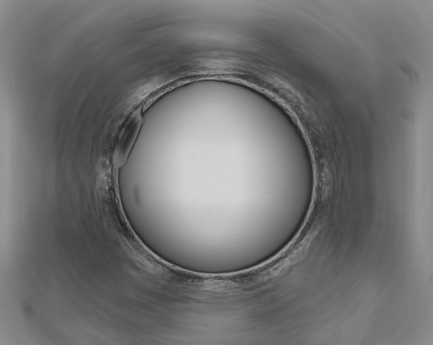 X0000112921449200908241021