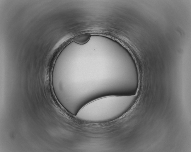 X0000112921450200908241021