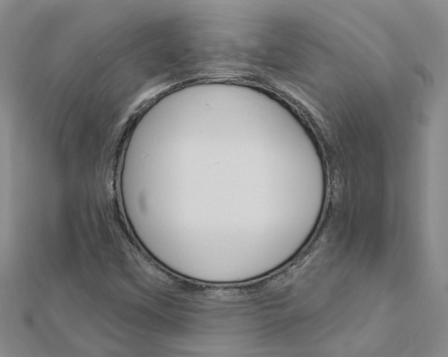 X0000112921451200908241021