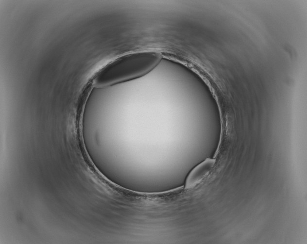 X0000112921452200908241021