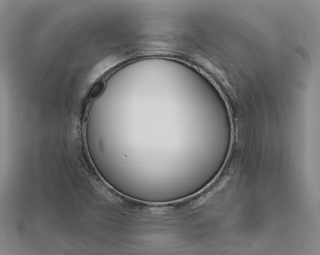 X0000112921453200908241021