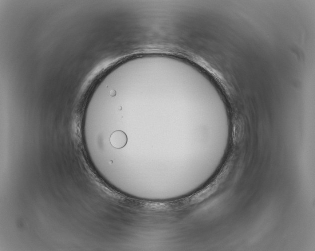 X0000112921454200908241021