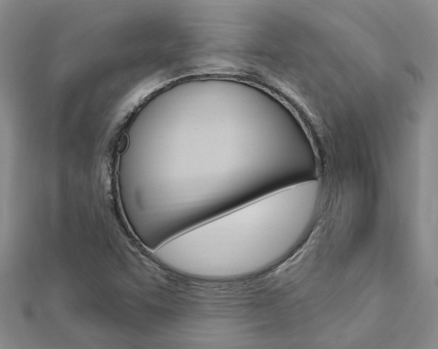 X0000112921455200908241021