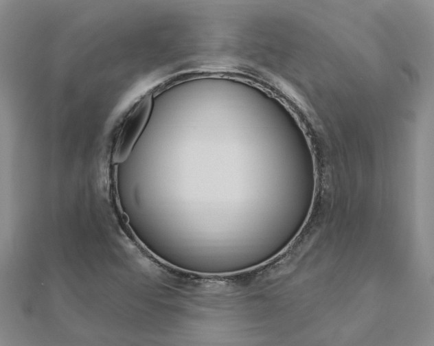 X0000112921456200908241021