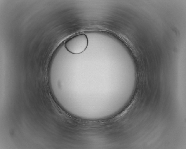 X0000112921457200908241021