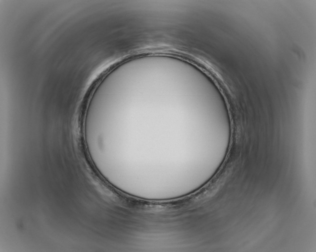 X0000112921458200908241021