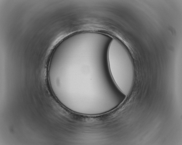 X0000112921459200908241021