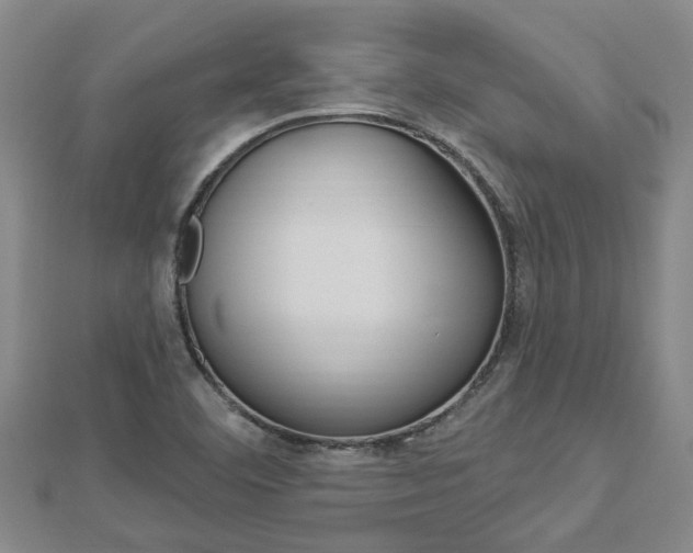 X0000112921460200908241021