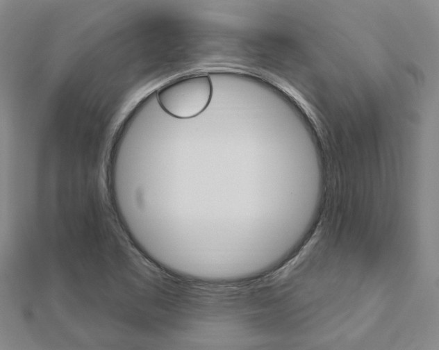 X0000112921461200908241021
