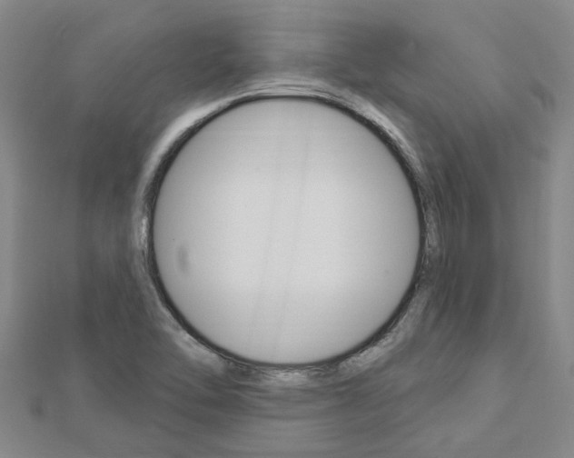 X0000112921462200908241021