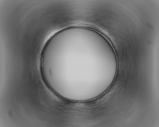 X0000112921463200908241020