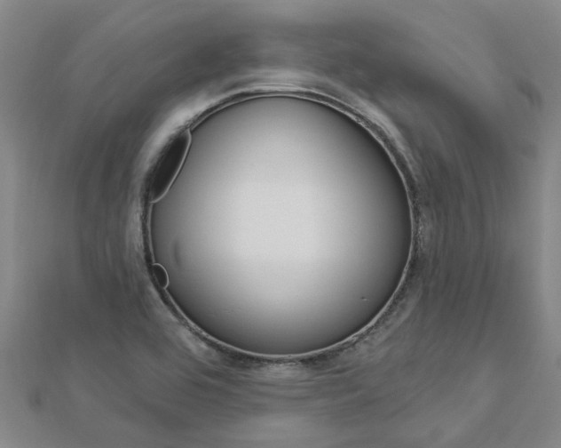 X0000112921464200908241020