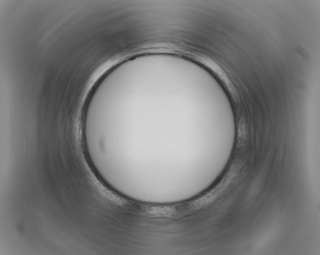 X0000112921466200908241020