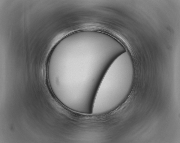 X0000112921467200908241020