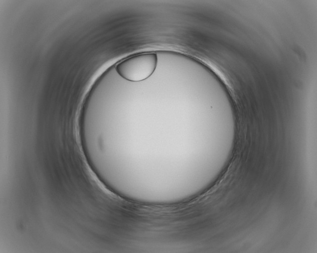 X0000112921468200908241020