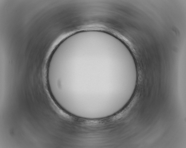 X0000112921470200908241020