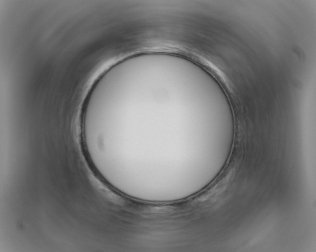X0000112921471200908241020