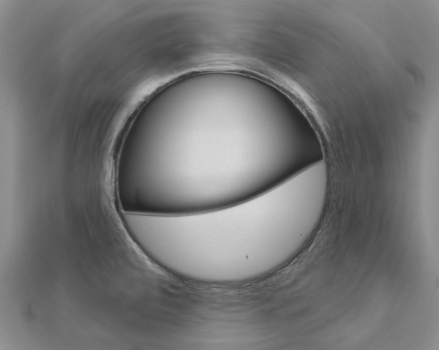 X0000112921472200908241020