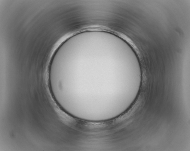 X0000112921474200908241020