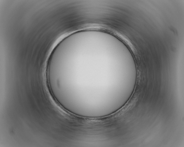 X0000112921475200908241020