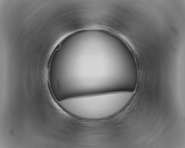 X0000112921476200908241020