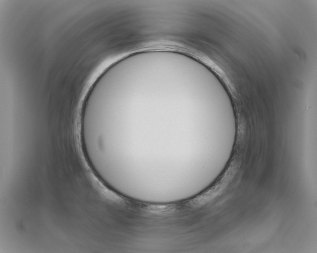 X0000112921478200908241020