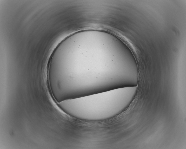 X0000112921479200908241020
