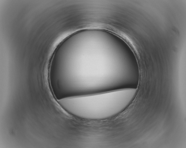 X0000112921480200908241020