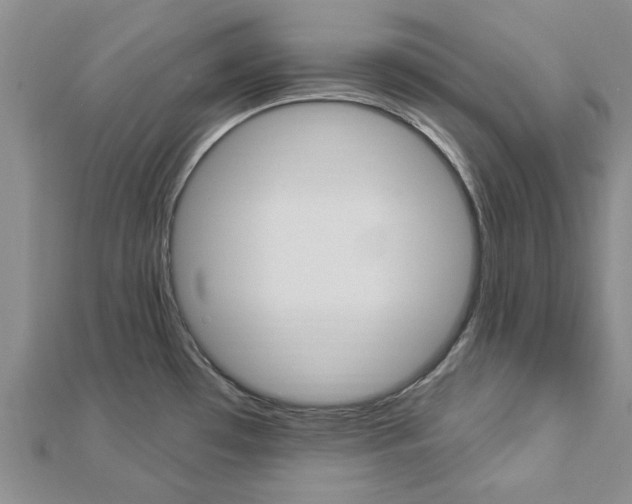 X0000112921481200908241020