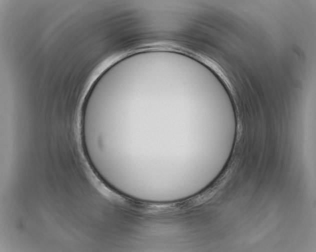 X0000112921482200908241020